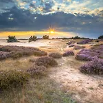 Huttopia De Veluwe Kemping *