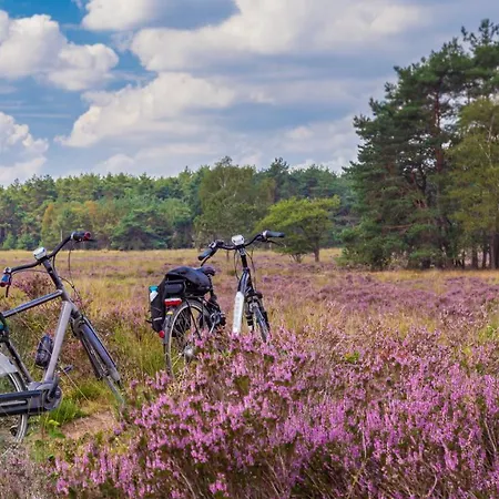 Campsite Huttopia De Veluwe