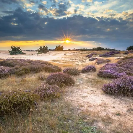 Huttopia De Veluwe Campsite *