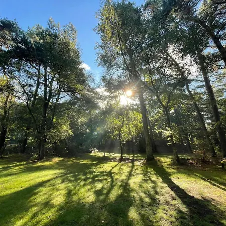 Campsite Huttopia De Veluwe Kootwijk