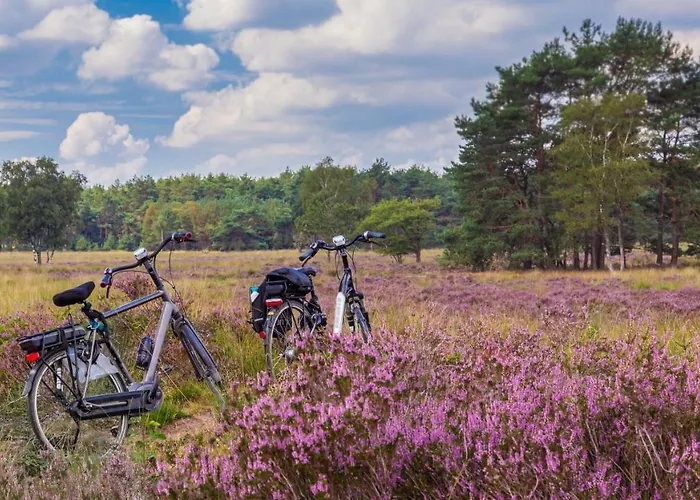 Camping Huttopia De Veluwe