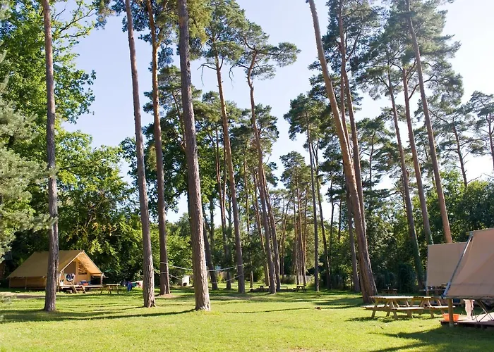 Camping Huttopia De Veluwe Kootwijk